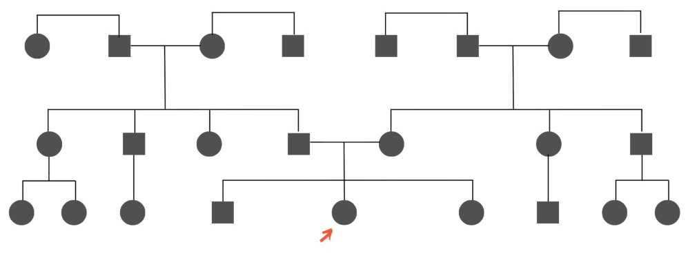 Structure de base d’un arbre généalogique sur trois générations