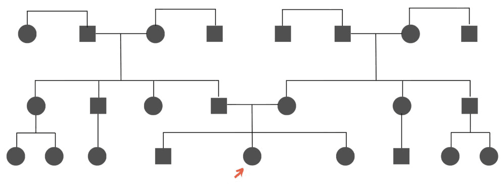 Structure de base d’un arbre généalogique sur trois générations